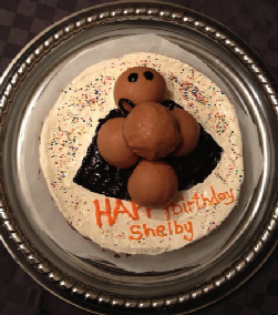 MRSA Giant Microbe Cake MRSA Giant Microbe Cake